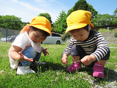 お花を摘む3歳未満の子たち