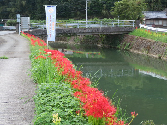 浅草④