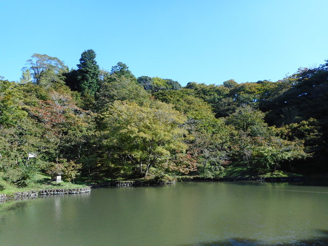 用作公園