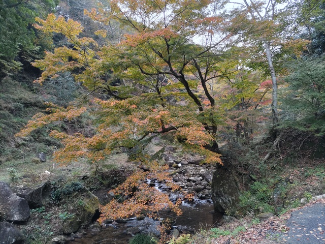 神角寺渓谷