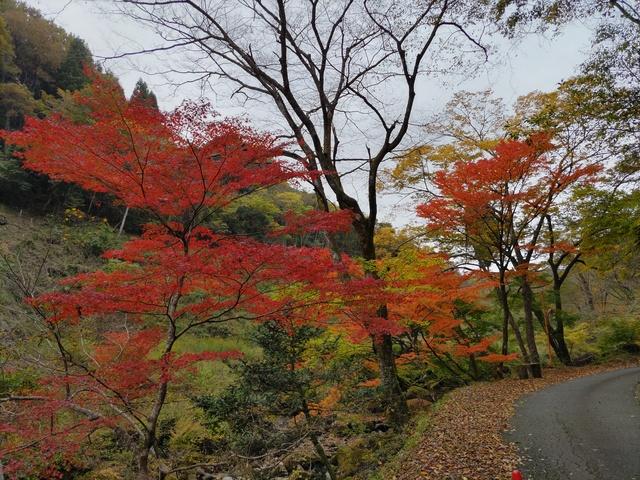 神角寺渓谷3