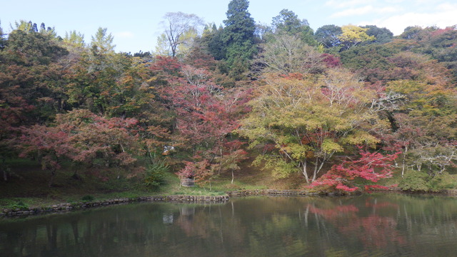 用作公園