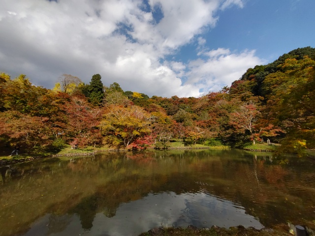 用作公園