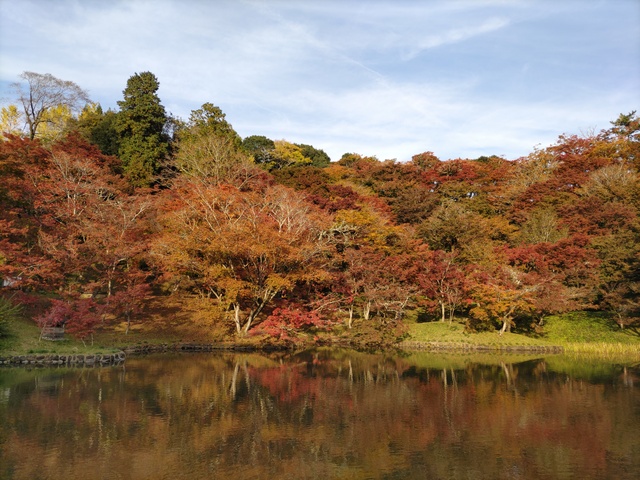 用作公園