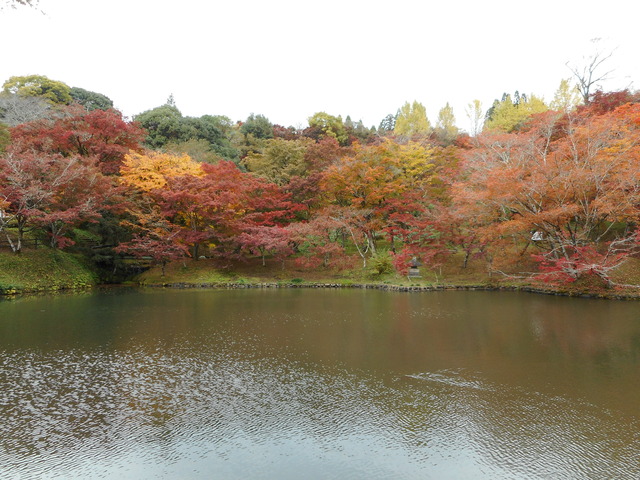 用作公園