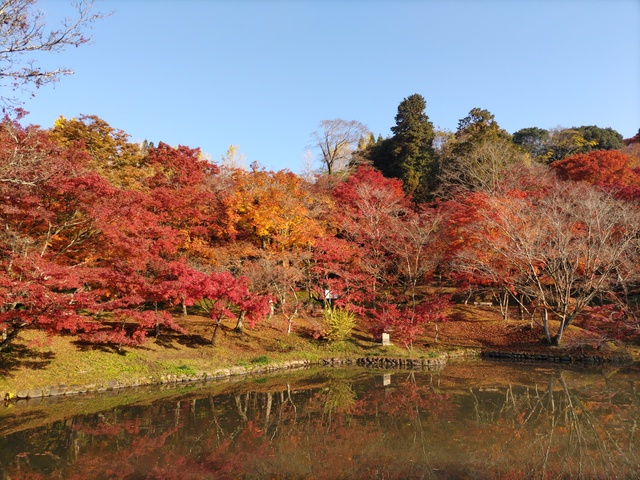 用作公園