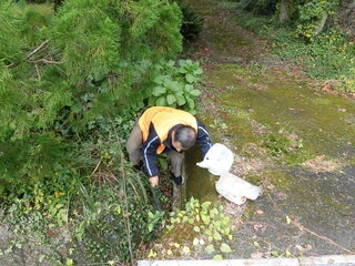 クリーンキャンペーン4