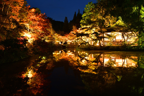 宝生寺2025-01