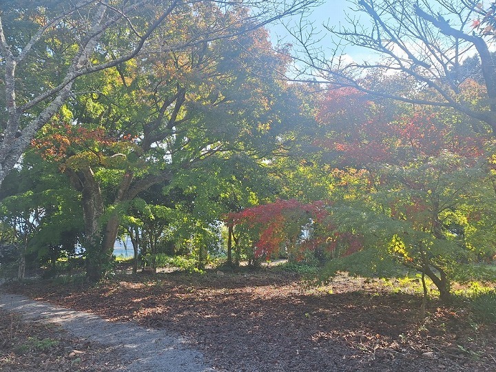 ②白鹿山・妙覚寺の紅葉