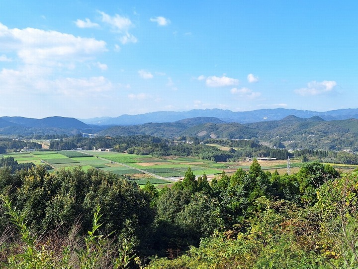 ⑤白鹿山・妙覚寺の紅葉